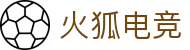 火狐电竞 - 助你从观赛到懂赛的进阶指南